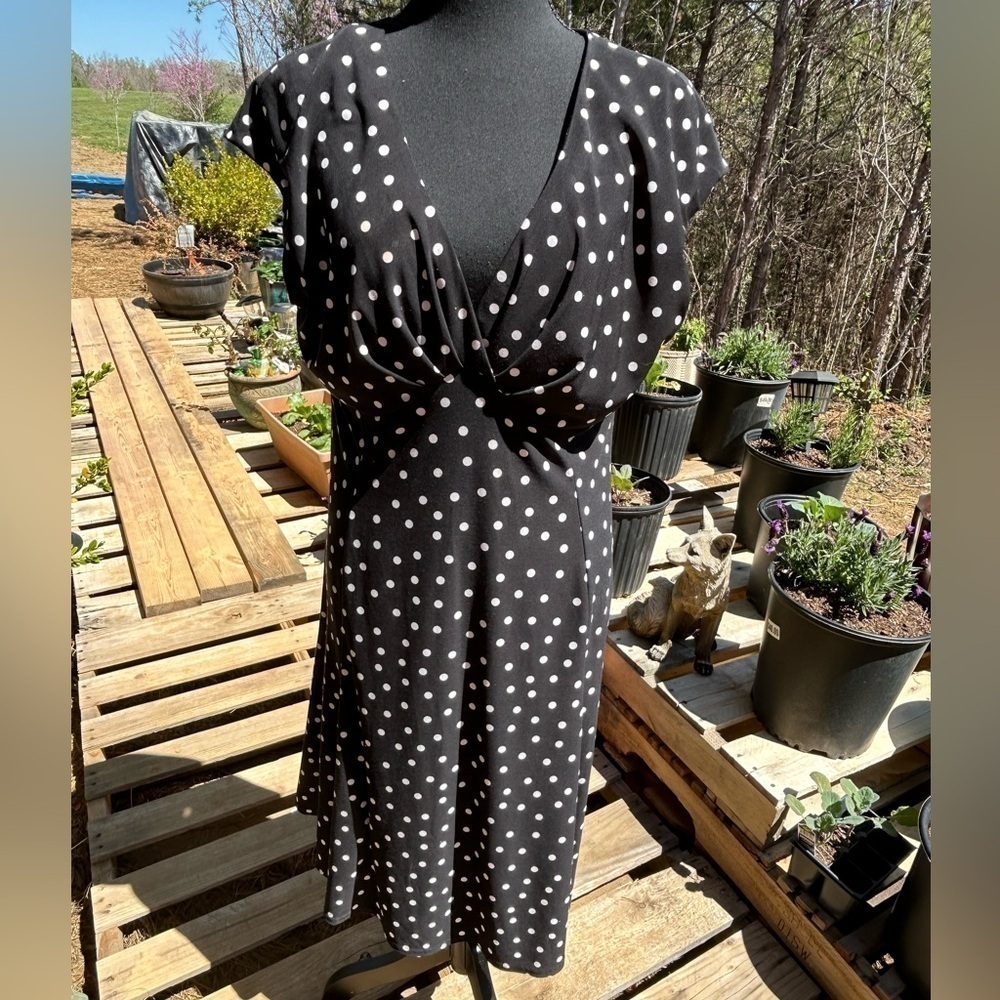 Black Label Even Picone size 14. Black with white dots. Midi length